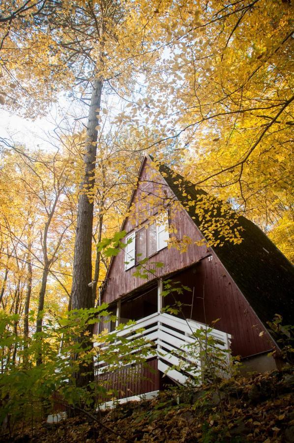 Noszvaj Cabin Екстер'єр фото